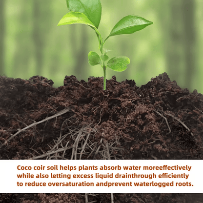 🔥2025 New Year Big Sale⏰ - ✨Organic Coconut Coir for Plants🥥🌱