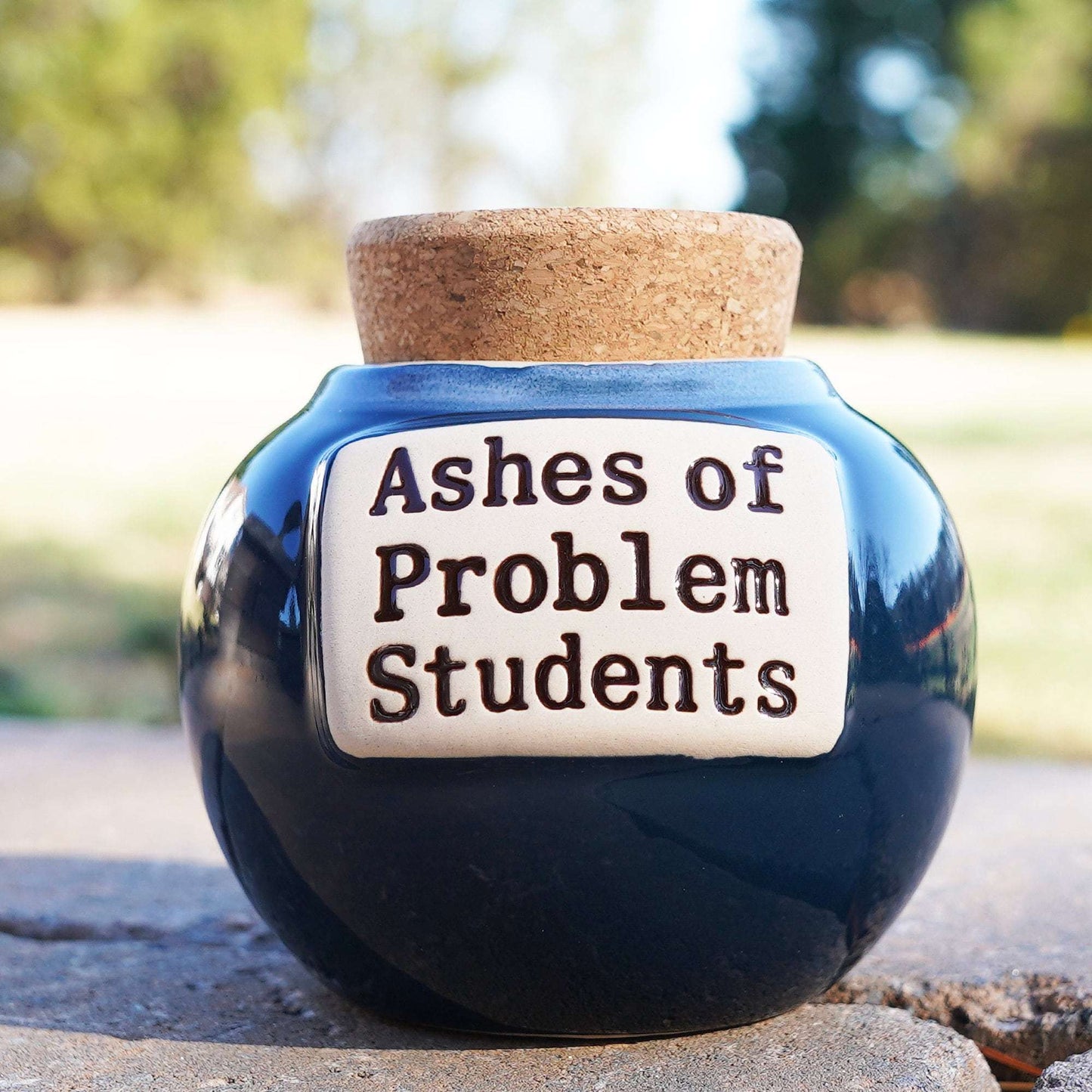🤣Ashes of Problem Clients Piggy Bank🎁