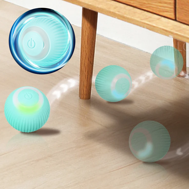 ✨2 in 1 Simulated Interactive hunting cat toy