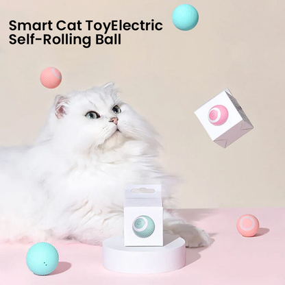 ✨2 in 1 Simulated Interactive hunting cat toy