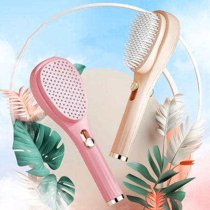 Retractable Hair Brushes