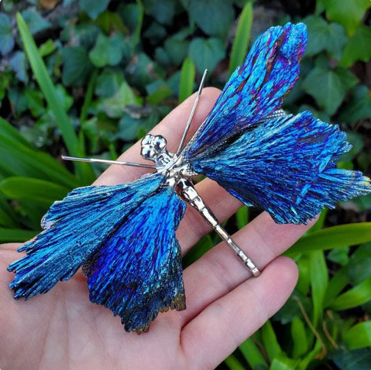 💥AURA TOURMALINE KYANITE DRAGONFLY💥🔥BIG SALE - 49% OFF🔥