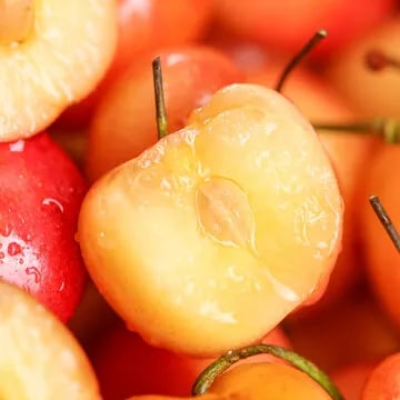 🍒Rainier Cherry Fruit Seeds