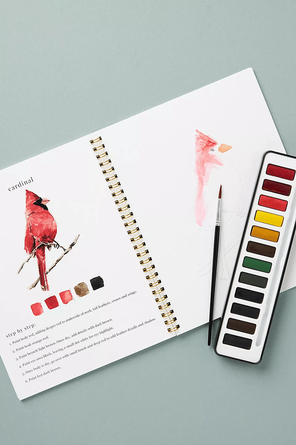 🔥LAST DAY 60% OFF - 💕Watercolor Workbook 🖼️Beginner-Friendly