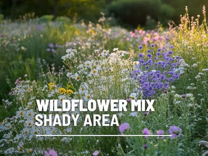 🔥Final Day Clearance Steals❗❗Wildflower Mix Assortment of Perennial Wildflowers - Perennial🌹