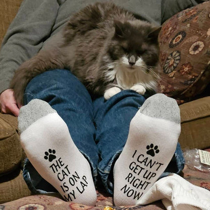 🧦Hilarious Socks with Printed Words