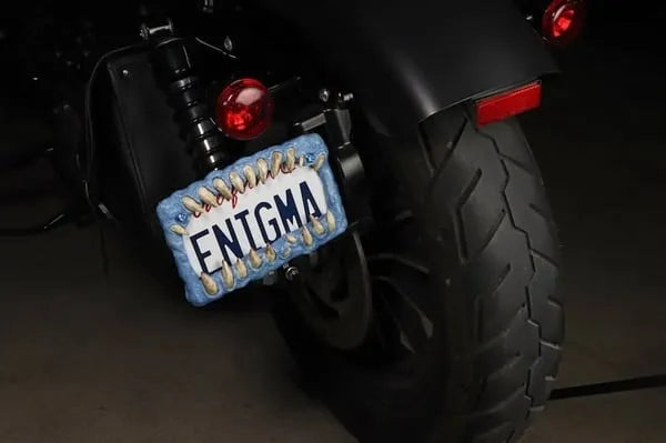 🤩Creature teeth license plate