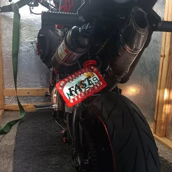 🤩Creature teeth license plate