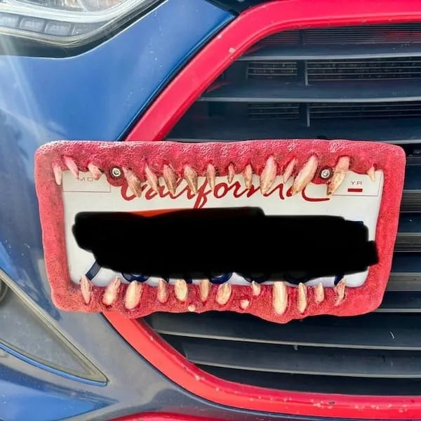 🤩Creature teeth license plate