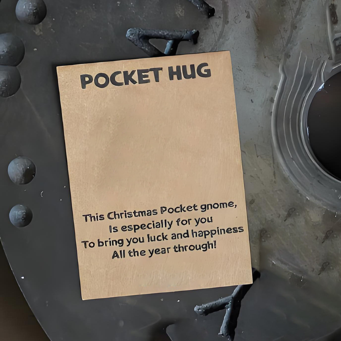 💖Gnome's Pocket Hug