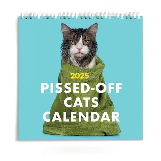 🎄Christmas Sales 49% OFF🔥2025 Pissed-Off Cats Calendar