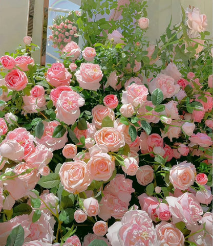 🔥2025 New Arrival 49% OFF🔥🌱Climbing Rose Seeds