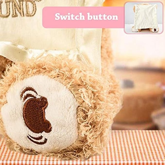 🎄🎁Christmas sales 60% OFF-🧸Peek-A-Boo Teddy Bear Plush