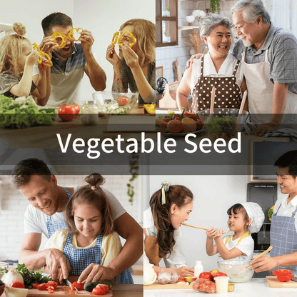 🔥Last Day 49% OFF 🔥Vegetable Seed Vault Kit | 35 Varieties