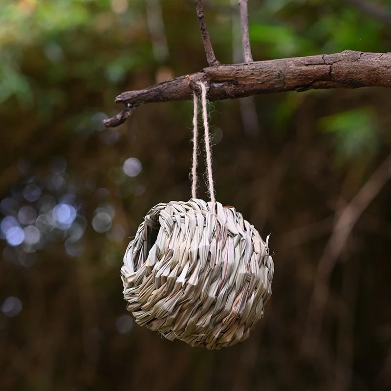 💲ONE DAY 49% OFF-🐦Hummingbird Nest House