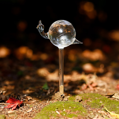 🎁2024 New Year Hot Sale🎁Self-Watering Plant Glass Bulbs