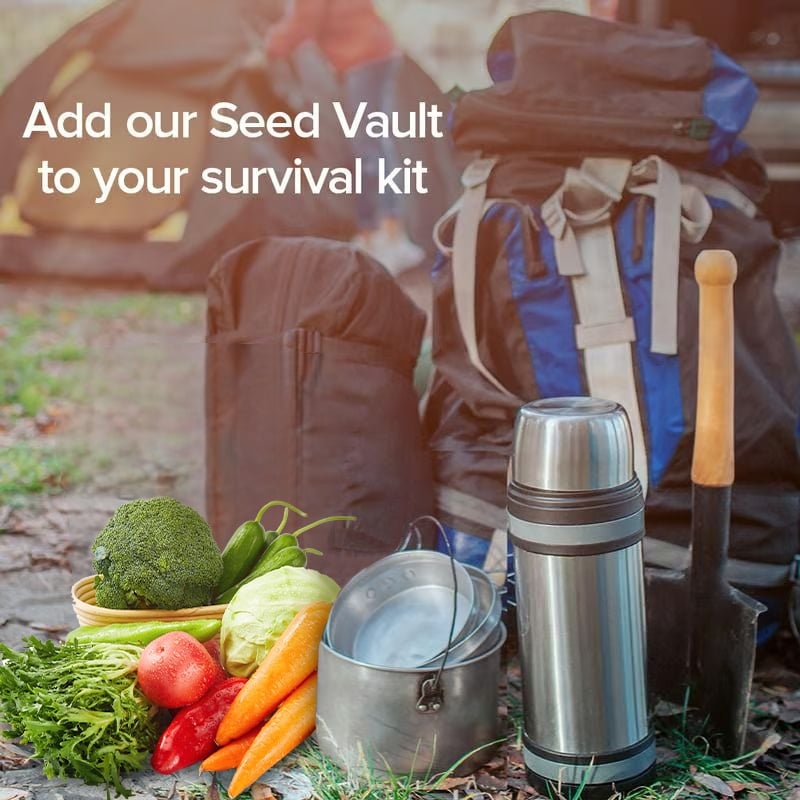 🔥Last Day 49% OFF 🔥Vegetable Seed Vault Kit | 35 Varieties