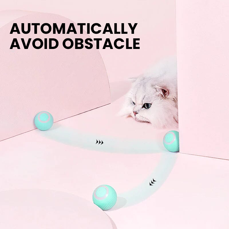 ✨2 in 1 Simulated Interactive hunting cat toy