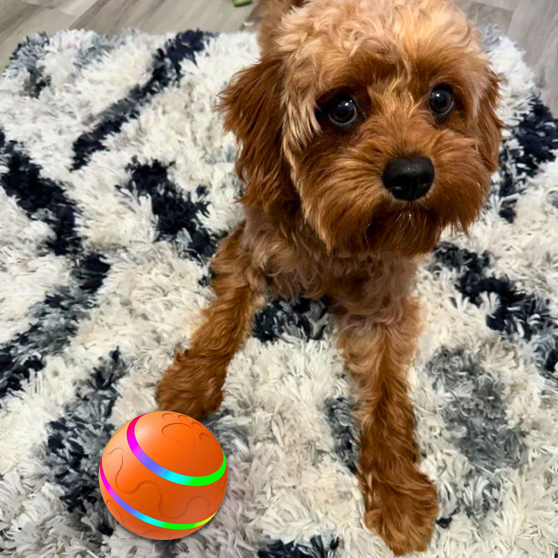 🐾Pet Virus Bouncing Ball