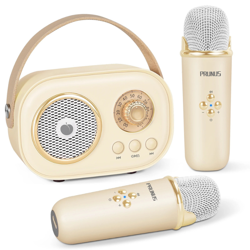 SingPlay Portable Karaoke Fun for Kids and Families