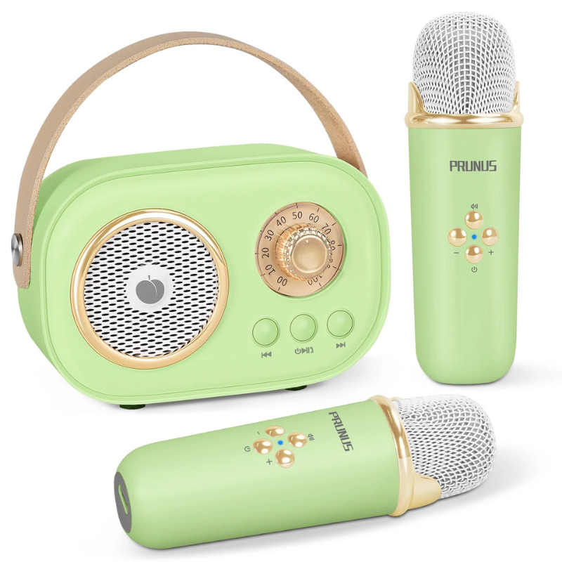 SingPlay Portable Karaoke Fun for Kids and Families