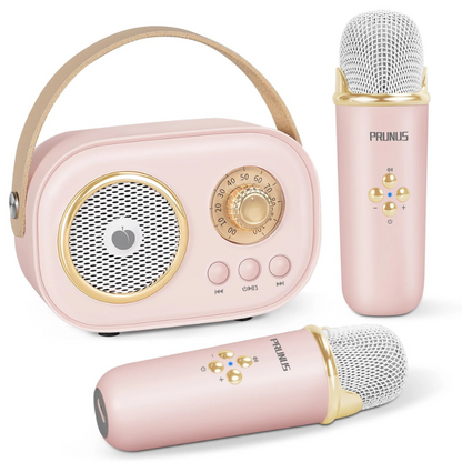 SingPlay Portable Karaoke Fun for Kids and Families