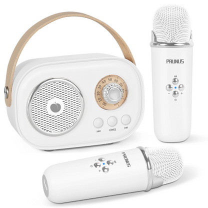 SingPlay Portable Karaoke Fun for Kids and Families