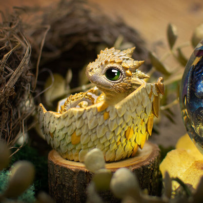 🐲🥚Dragon Hatchling
