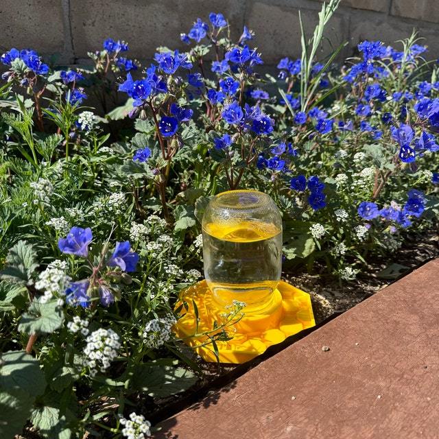 🔥Hot Sale 49% OFF - 🐝💦Bee Watering Dish (3D Printed)