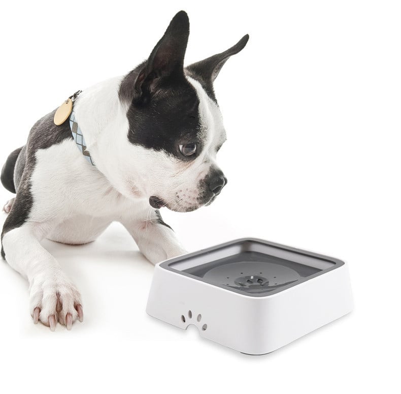 🔥Summer Hot Sale Promotion-49% OFF🐾-No-Spill Pet Water Bowl