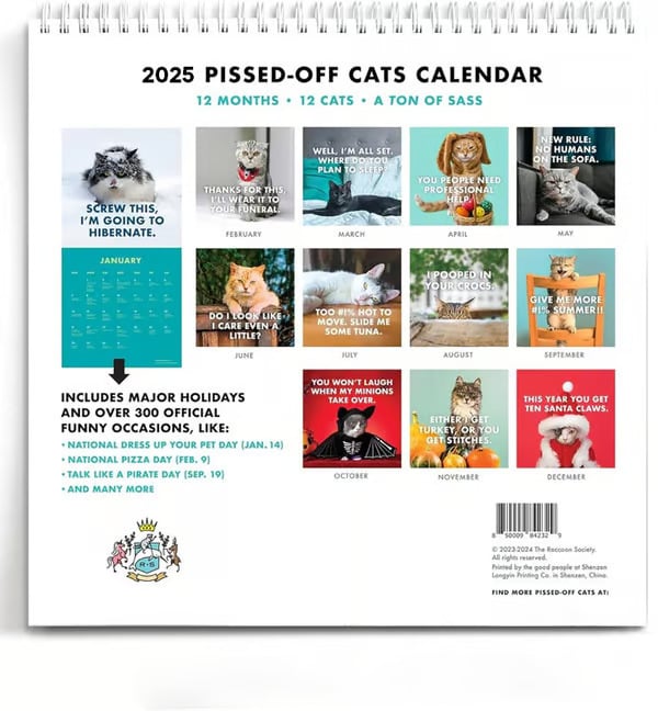 🎄Christmas Sales 49% OFF🔥2025 Pissed-Off Cats Calendar