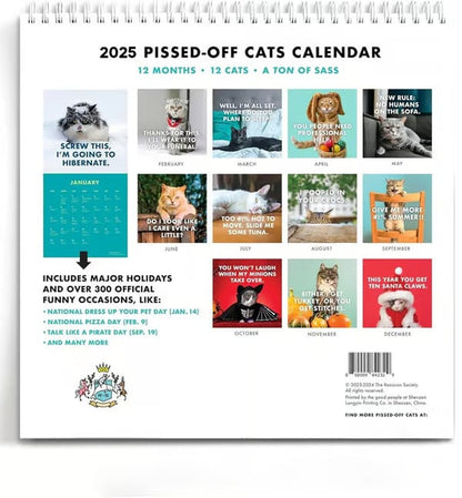 🎄Christmas Sales 49% OFF🔥2025 Pissed-Off Cats Calendar