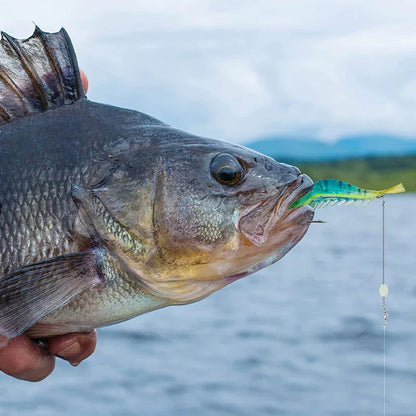 Simulation Soft Shrimp Bait