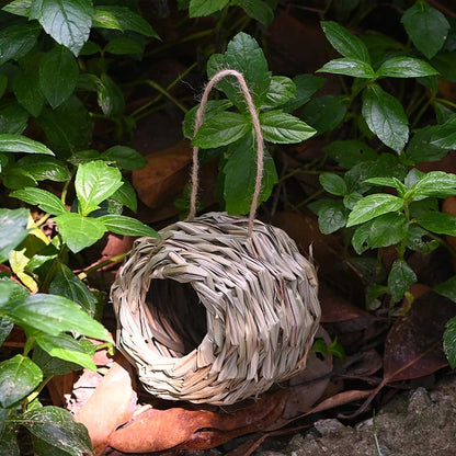 💲ONE DAY 49% OFF-🐦Hummingbird Nest House