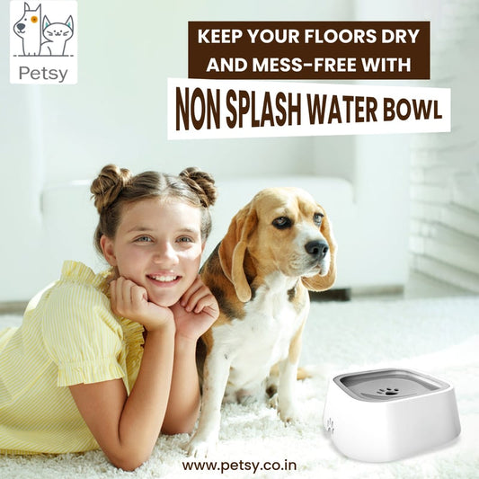 🔥Summer Hot Sale Promotion-49% OFF🐾-No-Spill Pet Water Bowl