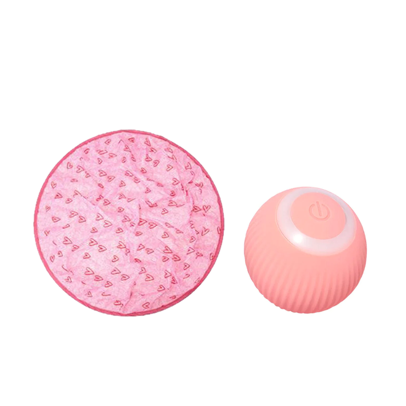 ✨2 in 1 Simulated Interactive hunting cat toy