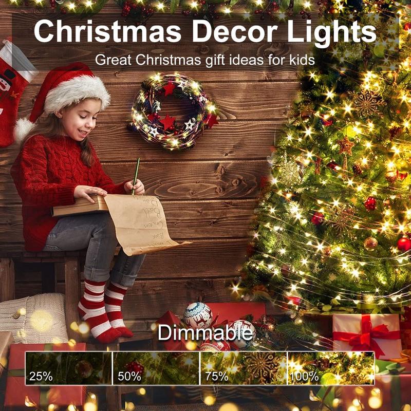 LED Waterproof Fairy String Lights with Remote