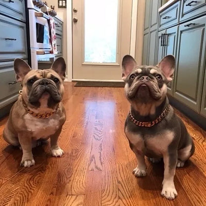 🎄Early Christmas Sale 50% OFF Thick Gold Chain Pets Safety Collar (adjustable)