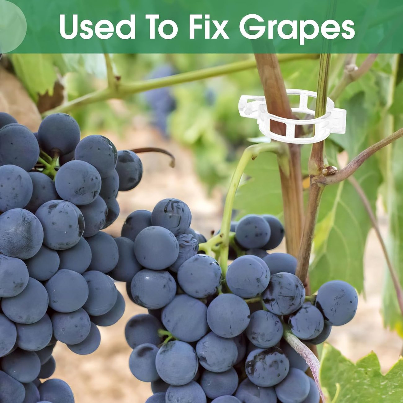 Vegetable Plant Support Clips