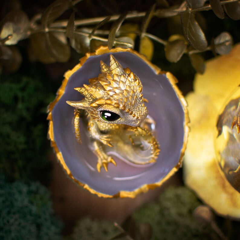 🐲🥚Dragon Hatchling