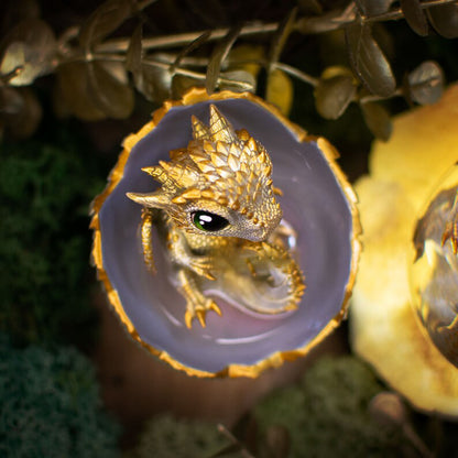 🐲🥚Dragon Hatchling