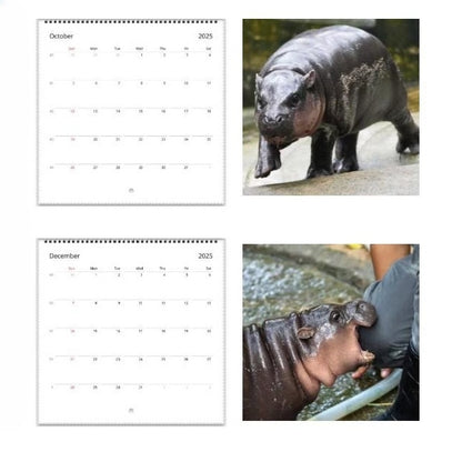 Moo Deng Calendar | 2025 Calendar