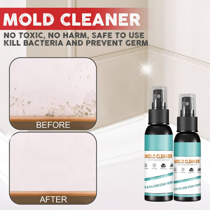 🔥Gogolonge Mildew & Mold Cleaner