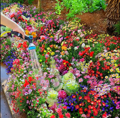 🔥Last day clearance💝Mixed Perennial Flowers Seeds-Over 50 kinds mixed