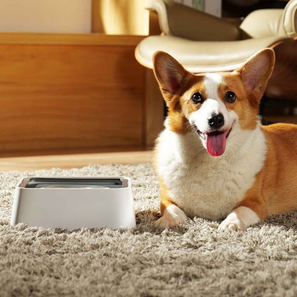 🔥Summer Hot Sale Promotion-49% OFF🐾-No-Spill Pet Water Bowl
