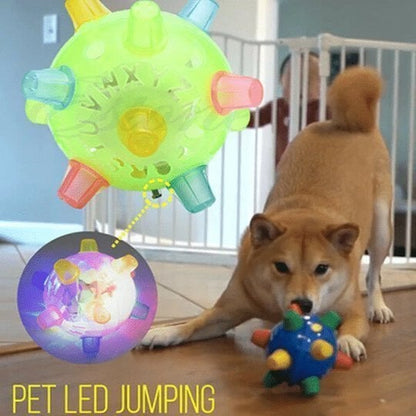 🔥Jumping activation ball for small dogs and cats