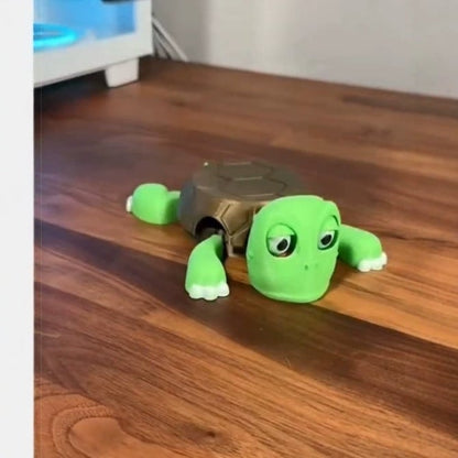 Open Eyed Turtle Funny Tea Coaster