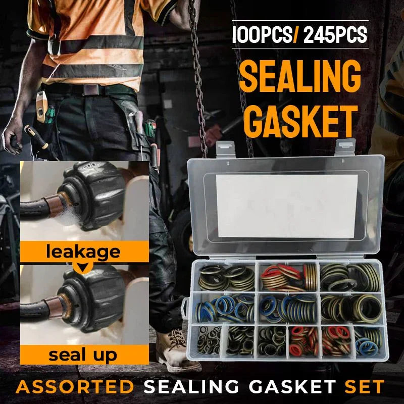 🎁2024 New Year Hot Sale🎁100pcs/ 245pcs Assorted Sealing Gasket Set