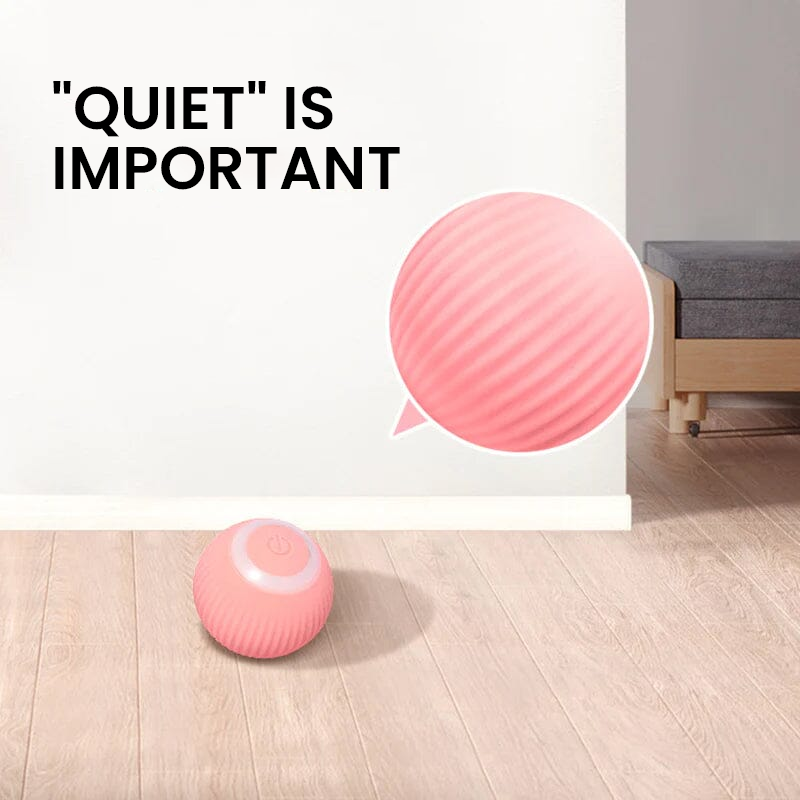 ✨2 in 1 Simulated Interactive hunting cat toy