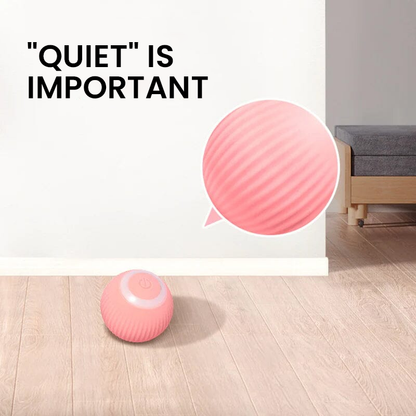 ✨2 in 1 Simulated Interactive hunting cat toy